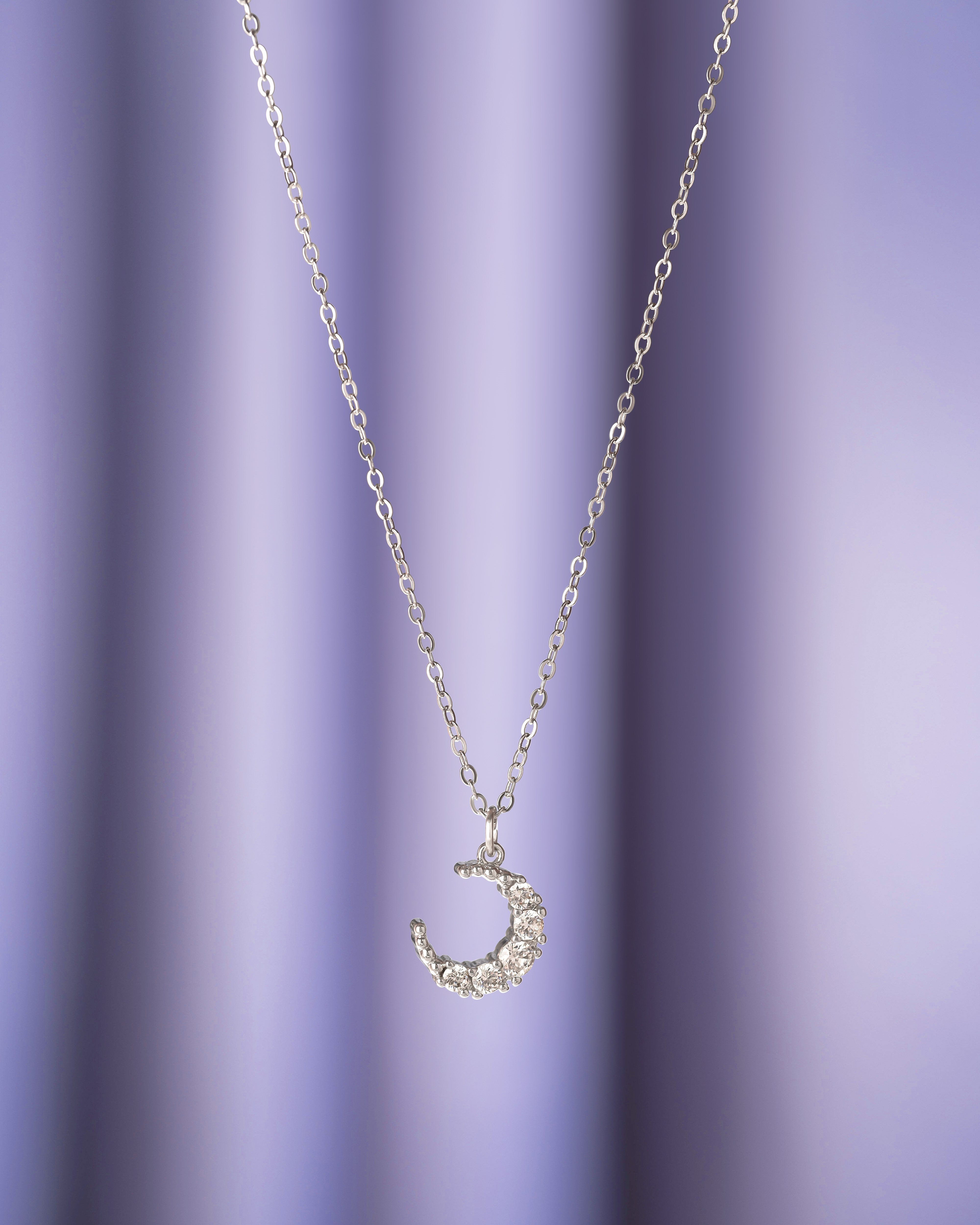 Crescent Moon Charm Necklace