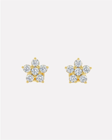 Five Petal Flower Stud Earrings