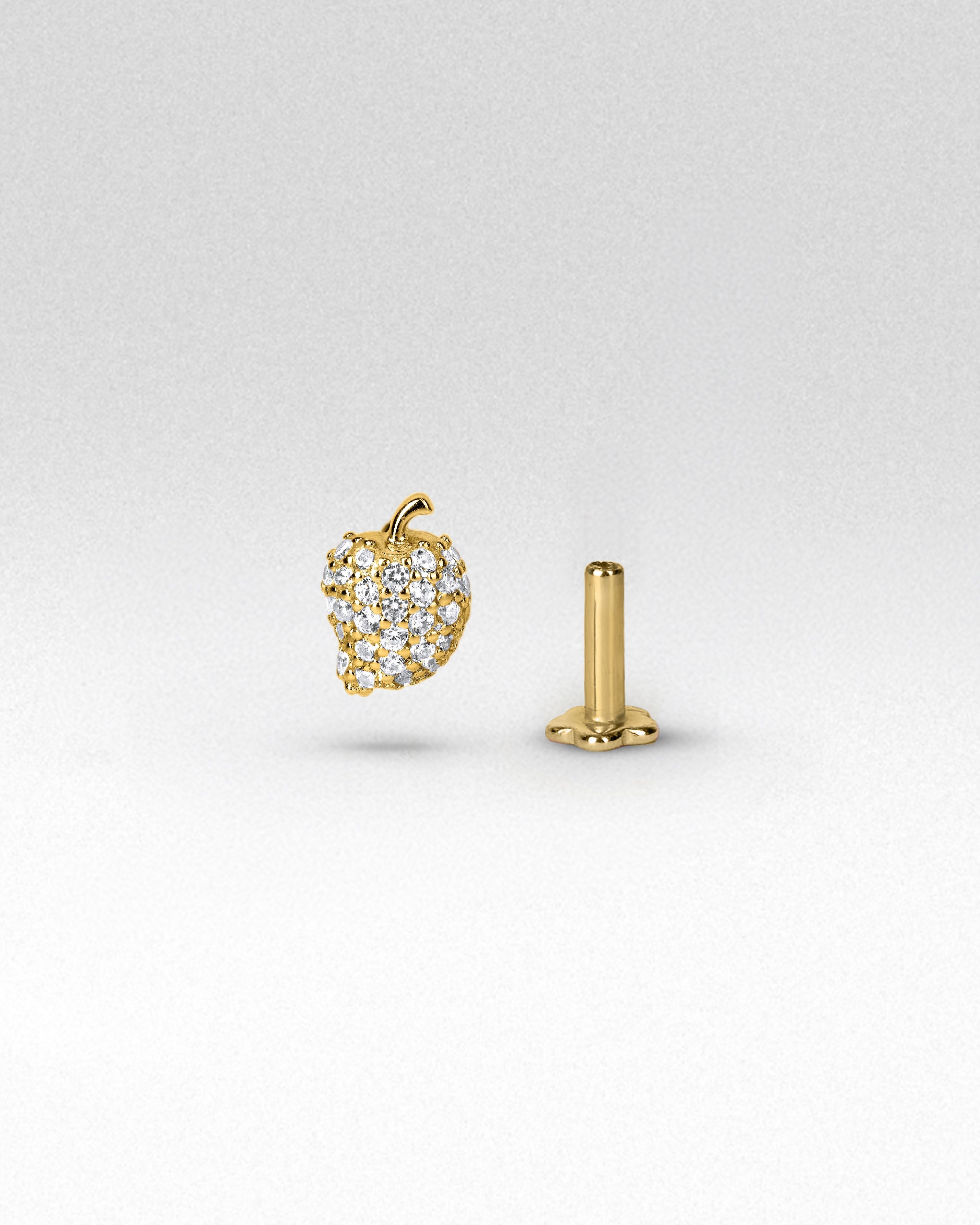 Ordinary Aam Flatback Earrings
